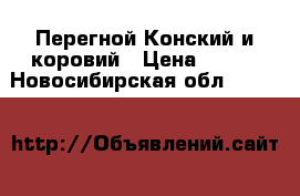 Перегной Конский и коровий › Цена ­ 550 - Новосибирская обл.  »    